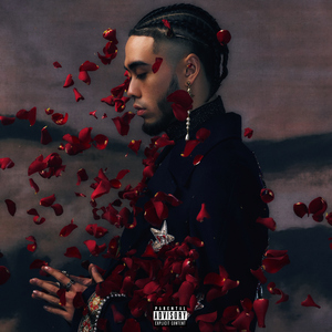 曹逼视频在线观看
